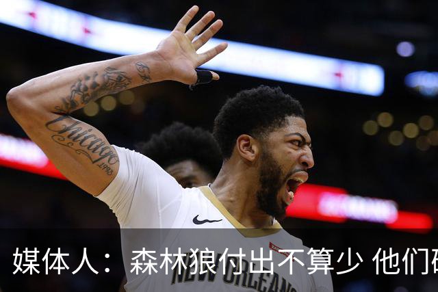 媒体人：森林狼付出不算少 他们确实需要变化 之前的阵容到上限了